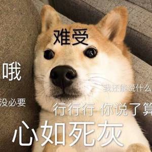 白嫩丰满少妇美女无套
